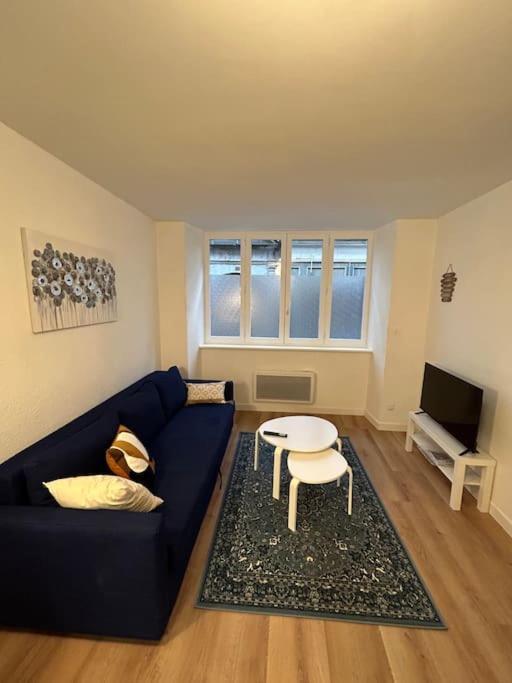 Le Spacieux Apartment